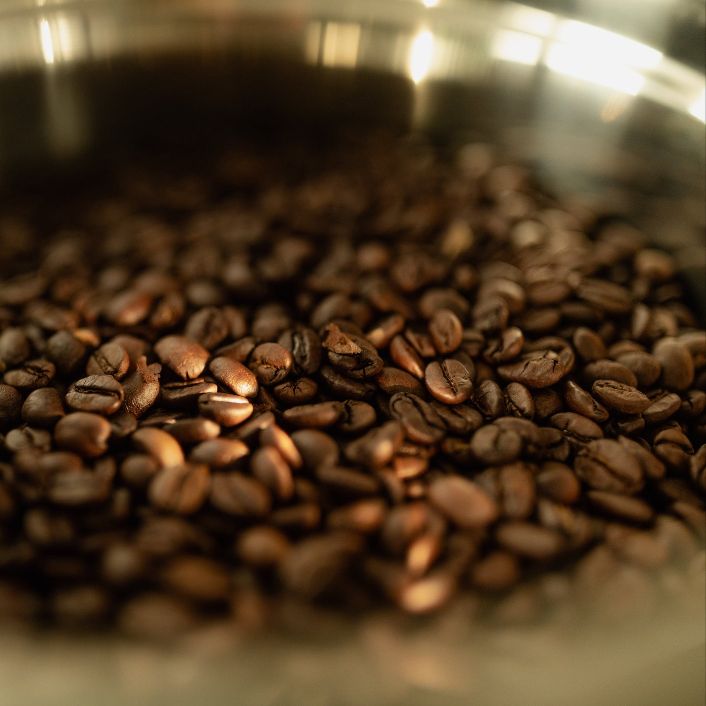 Close-up of roasted coffee beans in a metallic container
